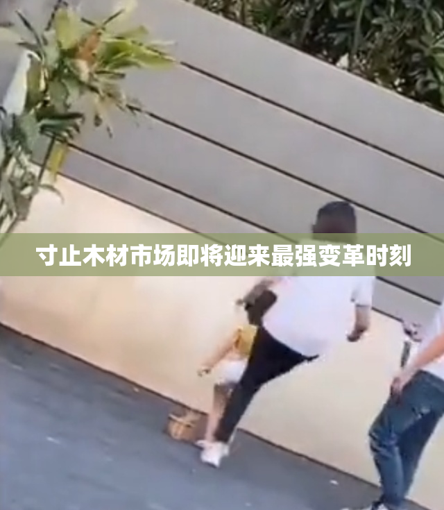 寸止木材市场即将迎来最强变革时刻