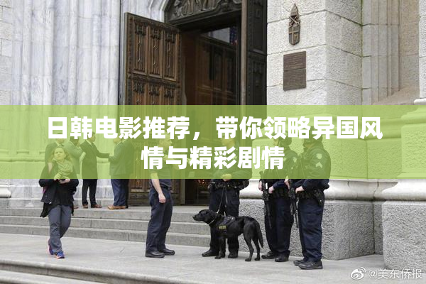 日韩电影推荐，带你领略异国风情与精彩剧情