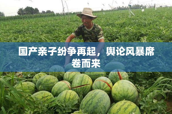 国产亲子纷争再起，舆论风暴席卷而来