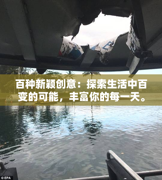 百种新颖创意：探索生活中百变的可能，丰富你的每一天。