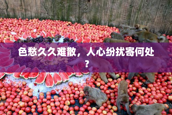 色愁久久难散，人心纷扰寄何处？
