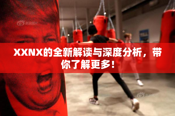 XXNX的全新解读与深度分析，带你了解更多！