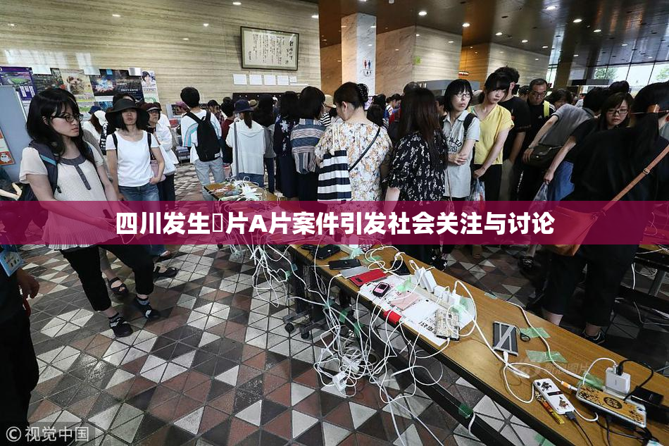 四川发生婬片A片案件引发社会关注与讨论