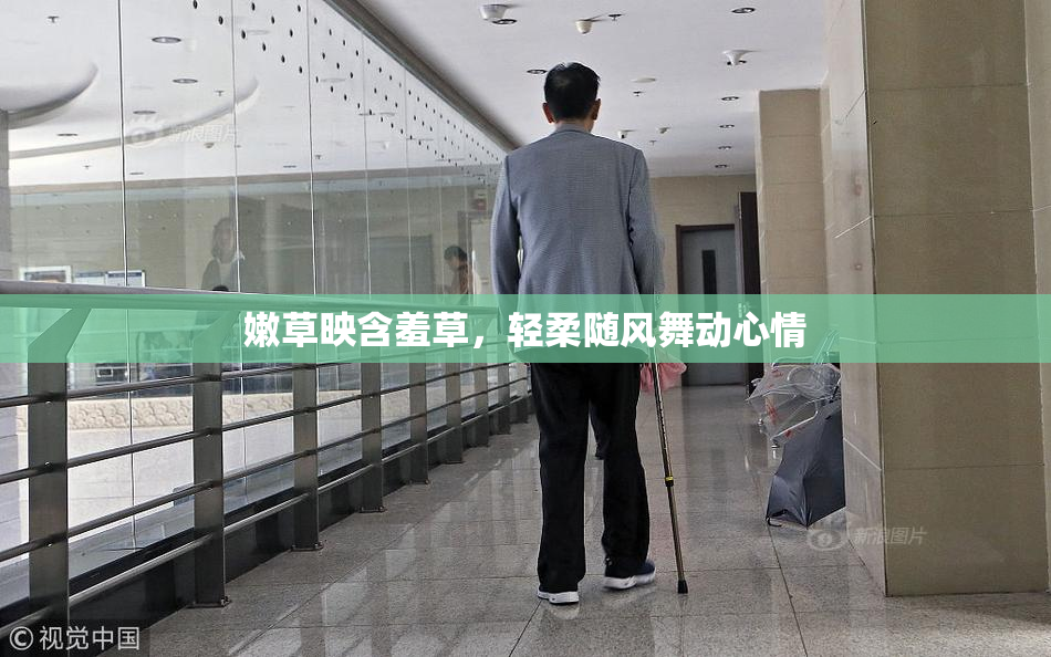 嫩草映含羞草，轻柔随风舞动心情
