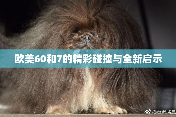 欧美60和7的精彩碰撞与全新启示