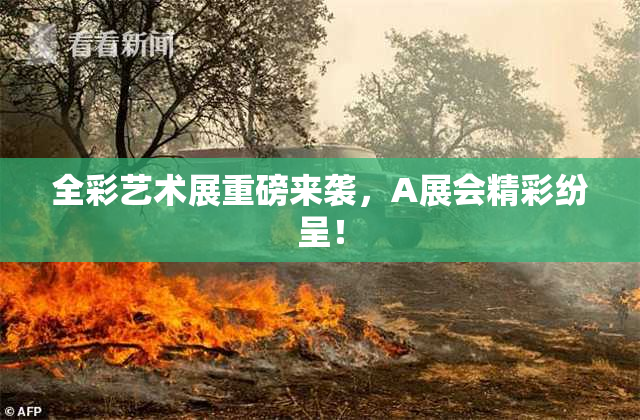 全彩艺术展重磅来袭，A展会精彩纷呈！