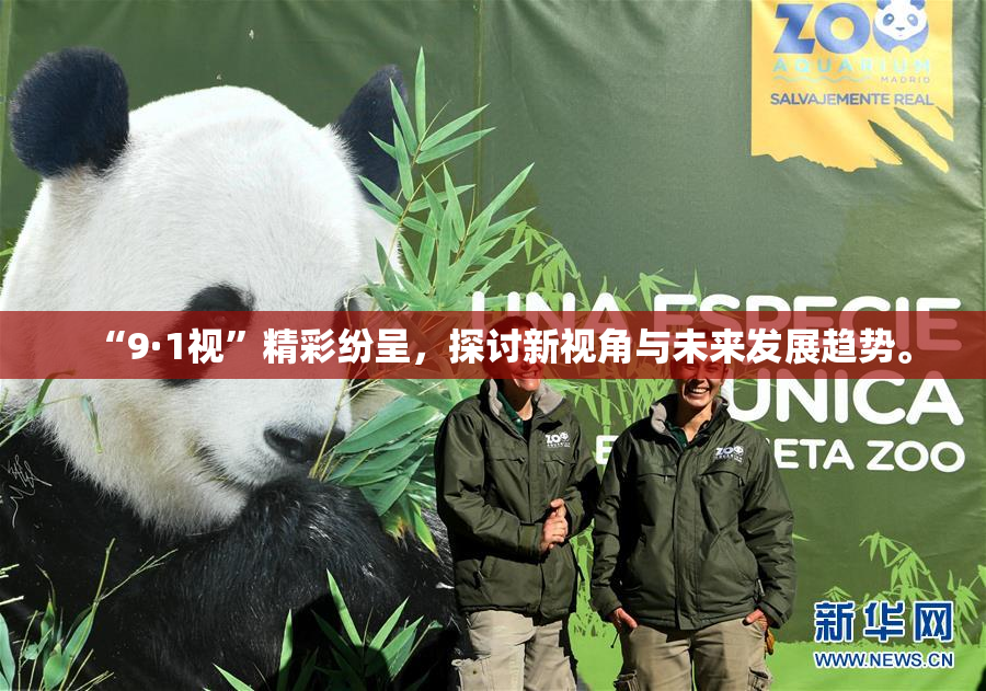 “9·1视”精彩纷呈，探讨新视角与未来发展趋势。