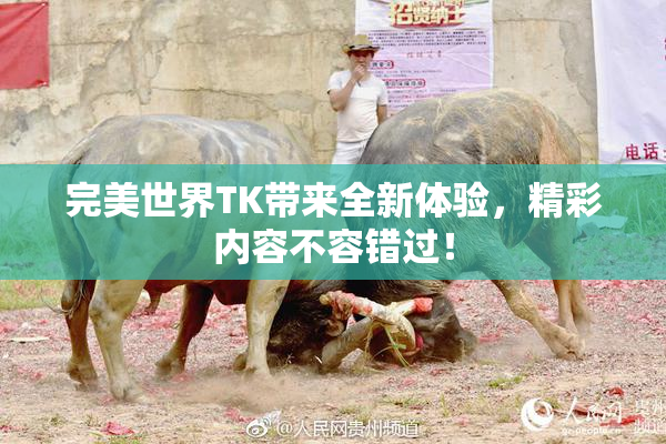 完美世界TK带来全新体验，精彩内容不容错过！