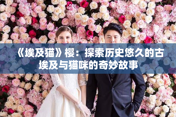 《埃及猫》樱：探索历史悠久的古埃及与猫咪的奇妙故事