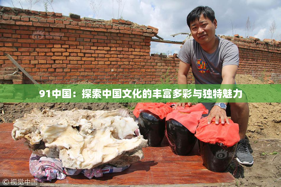 91中国：探索中国文化的丰富多彩与独特魅力