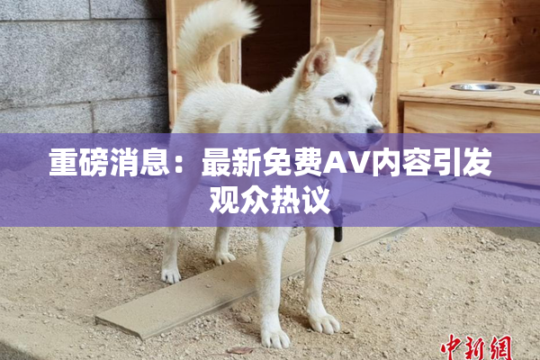重磅消息：最新免费AV内容引发观众热议