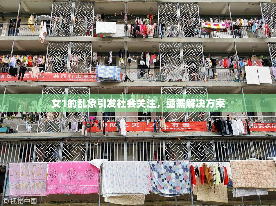 女1的乱象引发社会关注，亟需解决方案