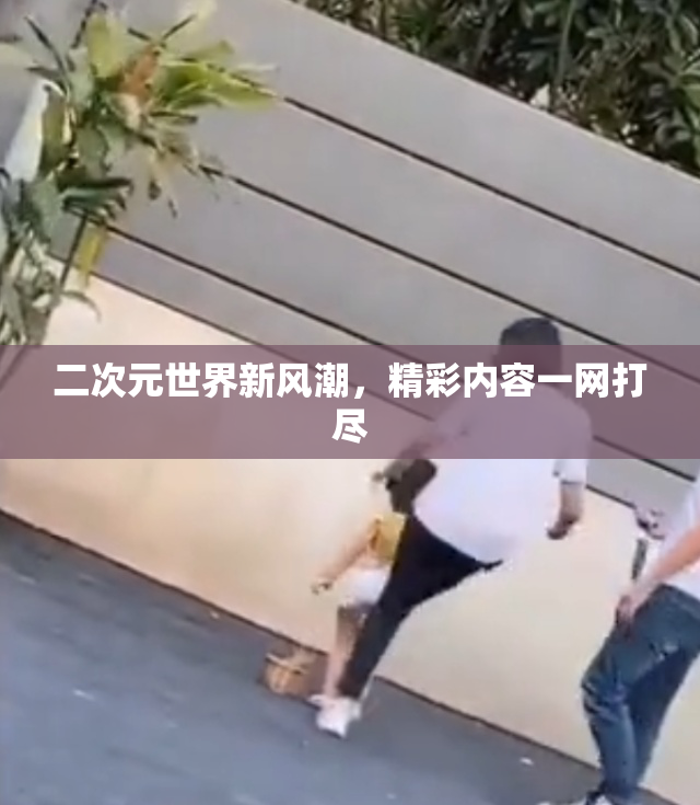 二次元世界新风潮，精彩内容一网打尽