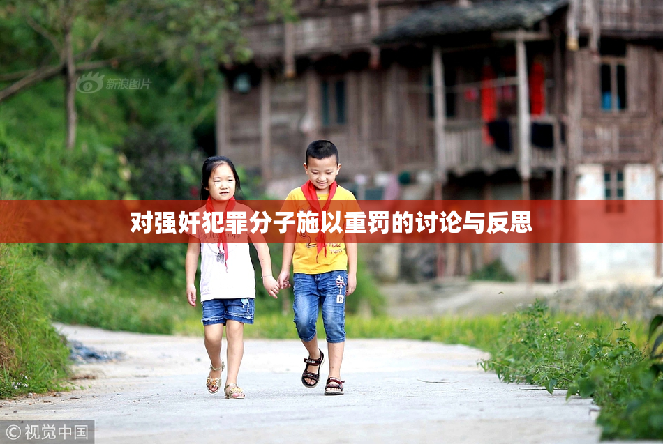 对强奸犯罪分子施以重罚的讨论与反思