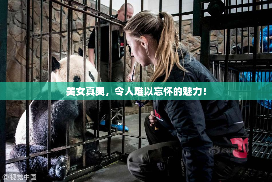 美女真爽，令人难以忘怀的魅力！