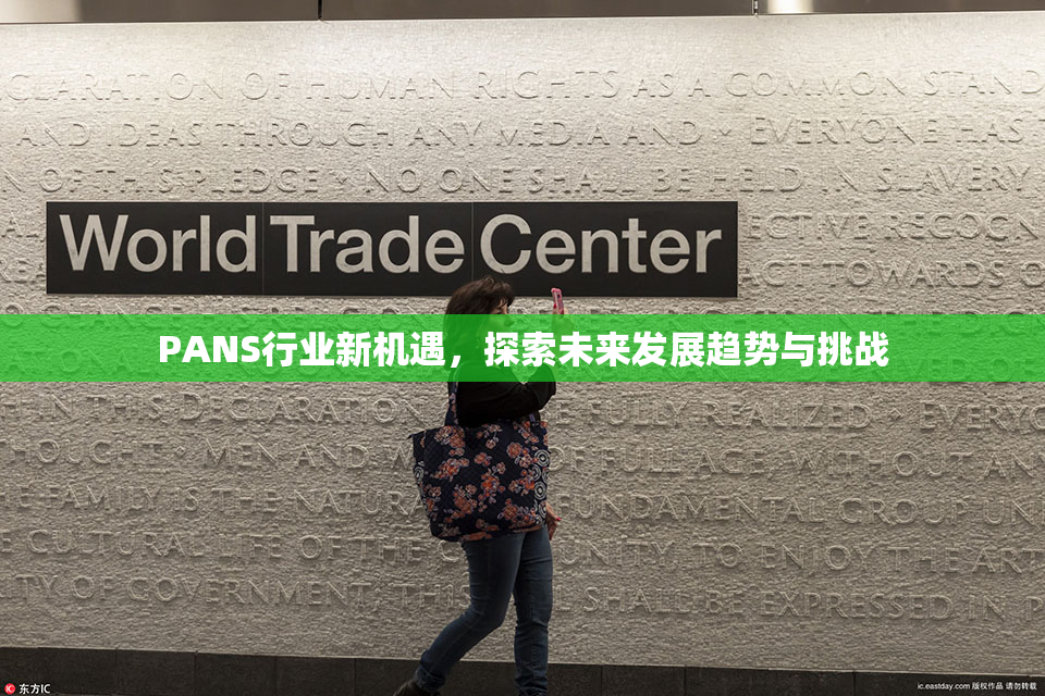 PANS行业新机遇，探索未来发展趋势与挑战