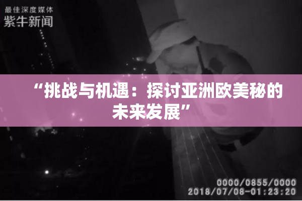 “挑战与机遇：探讨亚洲欧美秘的未来发展”