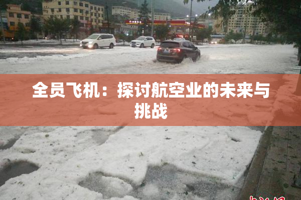 全员飞机：探讨航空业的未来与挑战