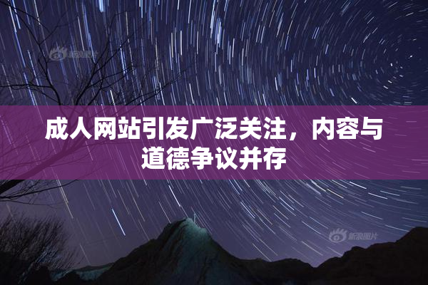 成人网站引发广泛关注，内容与道德争议并存