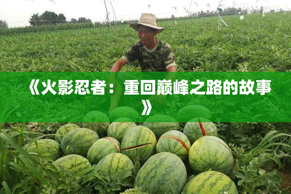 《火影忍者：重回巅峰之路的故事》