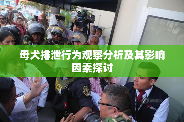 母犬排泄行为观察分析及其影响因素探讨
