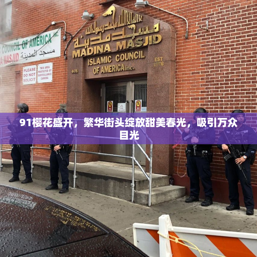 91樱花盛开，繁华街头绽放甜美春光，吸引万众目光