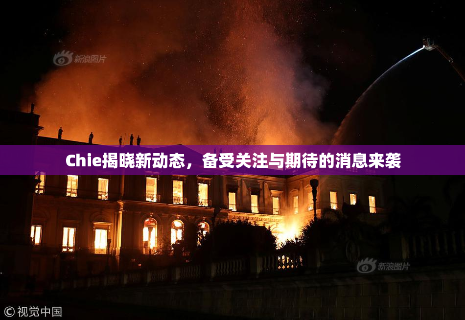 Chie揭晓新动态，备受关注与期待的消息来袭
