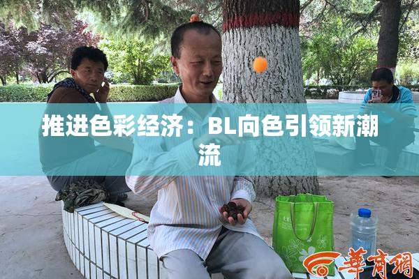推进色彩经济：BL向色引领新潮流