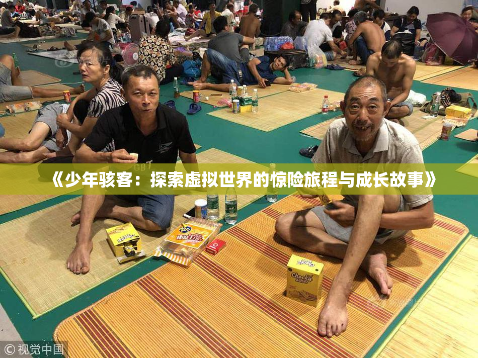 《少年骇客：探索虚拟世界的惊险旅程与成长故事》