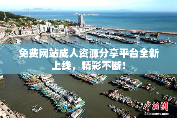 免费网站成人资源分享平台全新上线，精彩不断！