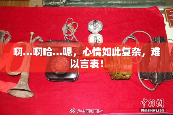 啊…啊哈…嗯，心情如此复杂，难以言表！