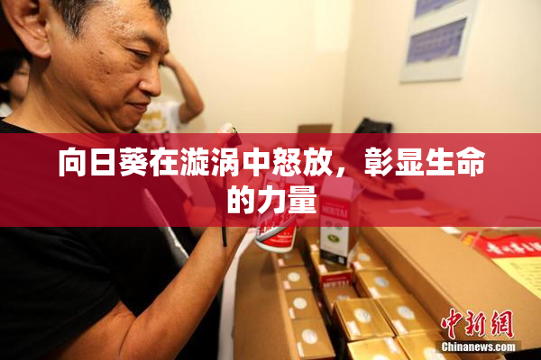 向日葵在漩涡中怒放，彰显生命的力量