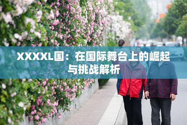 XXXXL国：在国际舞台上的崛起与挑战解析
