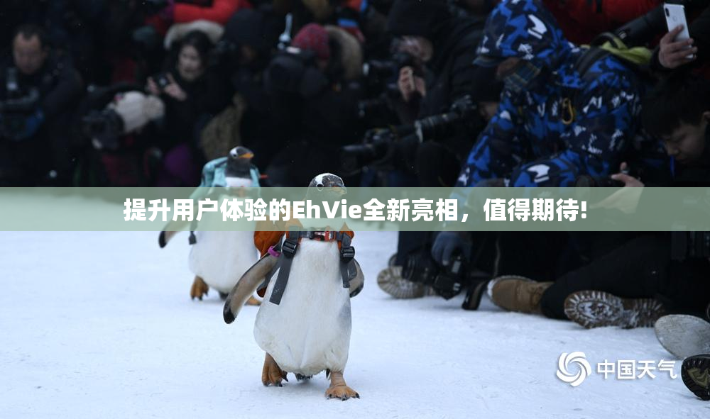 提升用户体验的EhVie全新亮相，值得期待!