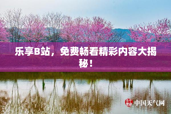 乐享B站，免费畅看精彩内容大揭秘！