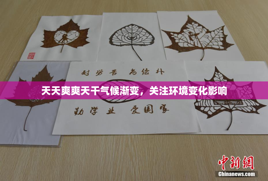 天天爽爽天干气候渐变，关注环境变化影响