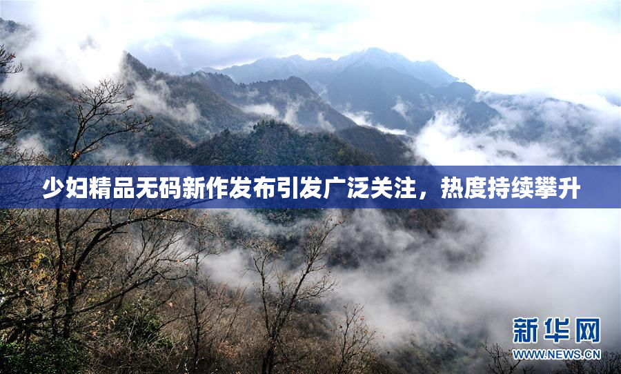少妇精品无码新作发布引发广泛关注，热度持续攀升