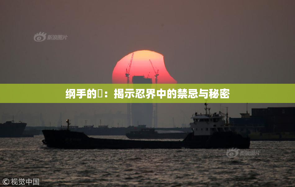 纲手的婬：揭示忍界中的禁忌与秘密