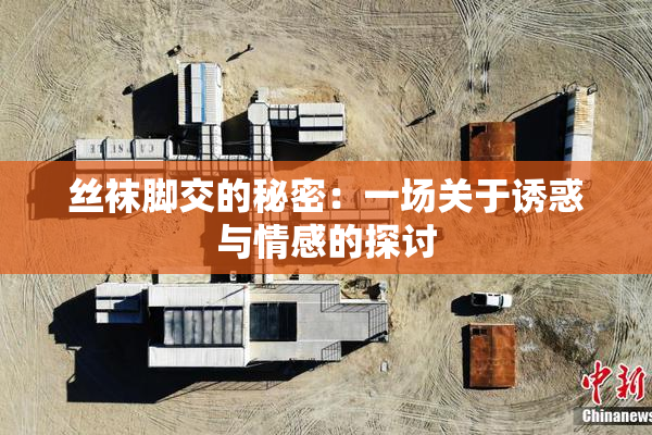 丝袜脚交的秘密：一场关于诱惑与情感的探讨