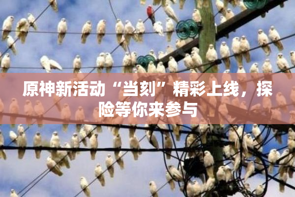 原神新活动“当刻”精彩上线，探险等你来参与