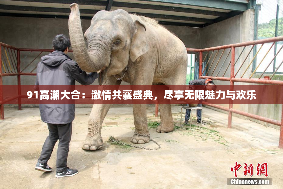 91高潮大合：激情共襄盛典，尽享无限魅力与欢乐