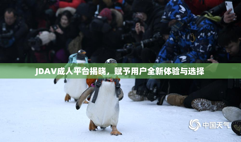 JDAV成人平台揭晓，赋予用户全新体验与选择