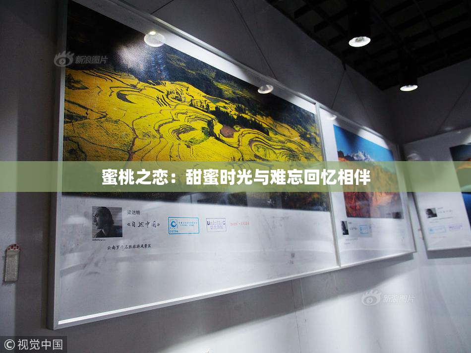 蜜桃之恋：甜蜜时光与难忘回忆相伴