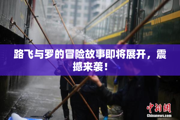 路飞与罗的冒险故事即将展开，震撼来袭！