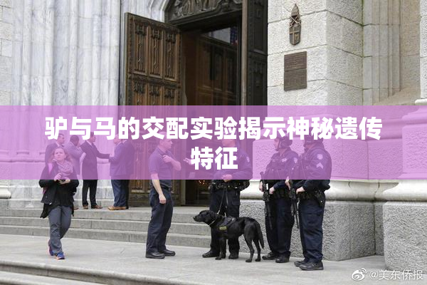 驴与马的交配实验揭示神秘遗传特征