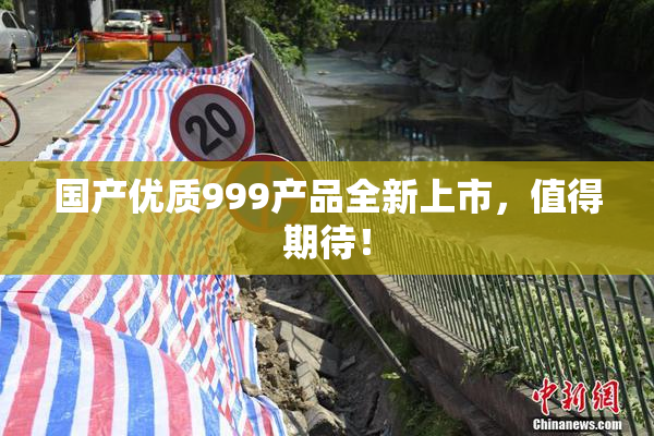 国产优质999产品全新上市，值得期待！