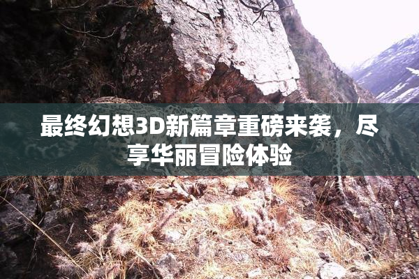 最终幻想3D新篇章重磅来袭，尽享华丽冒险体验