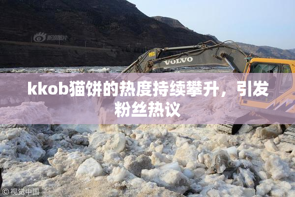kkob猫饼的热度持续攀升，引发粉丝热议