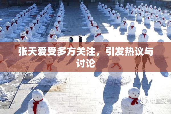 张天爱受多方关注，引发热议与讨论