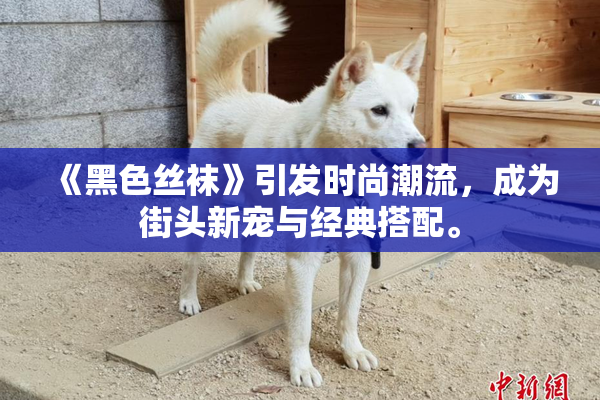 《黑色丝袜》引发时尚潮流，成为街头新宠与经典搭配。